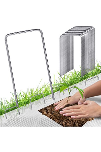 Azaris Pavaje și dale pentru grădină