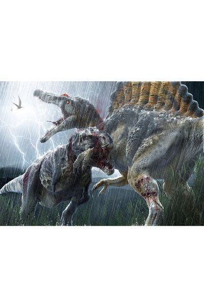 VIODESIGN Fototapet Copii, autoadeziv, Dinozauri , multicolor, 120x200 cm CO512