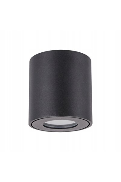 IDEUS Plafon exterior de grădină IP54 STRUHM ZORBA DWL 03955 negru