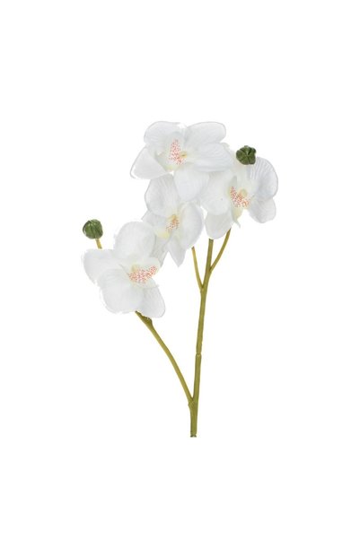 OEM Floare Artificială Orhidee Albă Crem 35 cm – Decor Realist pentru Casă și...