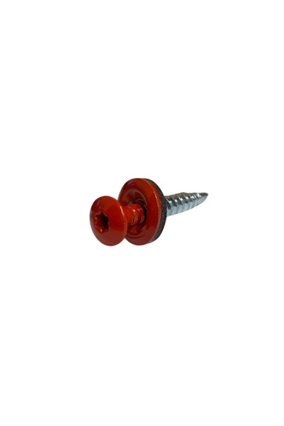 Etanco Șuruburi șurub fermier șurub tablă 4,8x20 TORX RAL 3020 250 bucăți