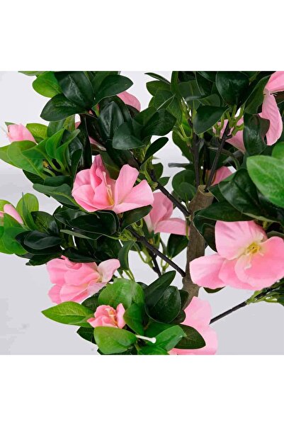 Eko-Light Sp. z o.o. Azalea în ghiveci 5227 55 cm