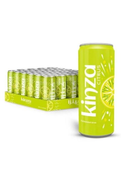 Generic Brand Kinza Citrus Soft Drink 250ml, (30x2packs)