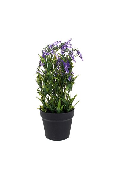 OEM Ghiveci Decorativ din Plastic Negru cu Plantă Artificială Lavanda – Decor...