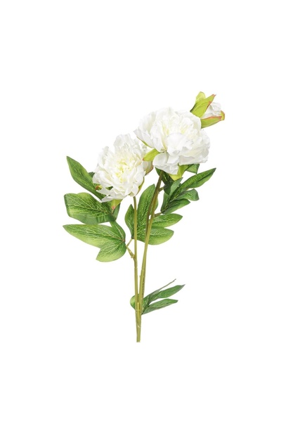 OEM Floare Artificială Frezie Albă 64 cm – Decor Realist pentru Casă și Eveni...