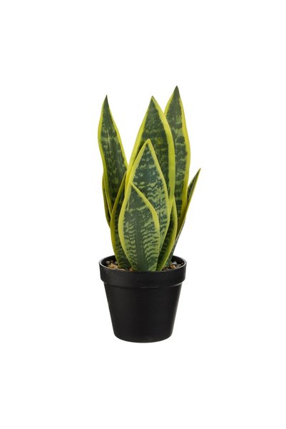 OEM Ghiveci Decorativ Negru cu Plantă Artificială Sabiuta Ø12.5x37 cm – Decor...