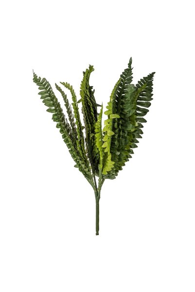 OEM Ramură Decorativă de Feriga Artificiala Verde 38 cm – Decor Realist pentr...