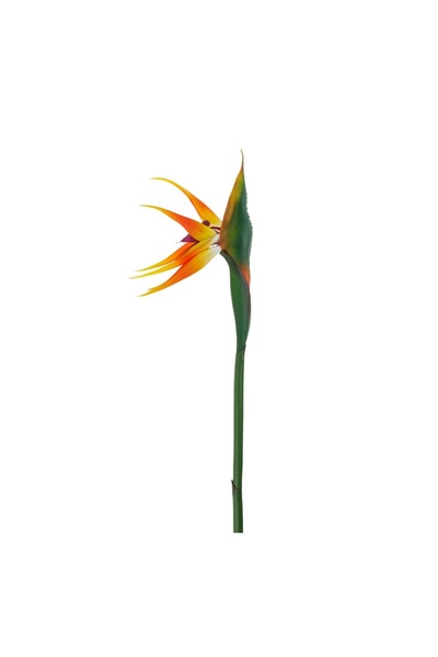 OEM Ramură Artificială ”Pasarea Paradisului” 90 cm – Decor Realist pentru Cas...