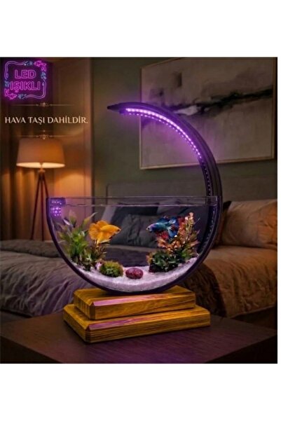 Aquarium Ahşap Tabanlı Hilal Akvaryum LED Işıklı Özel Tasarım Beta Fanus Hava Taşlı Kum Hediyeli Gümüş Renk