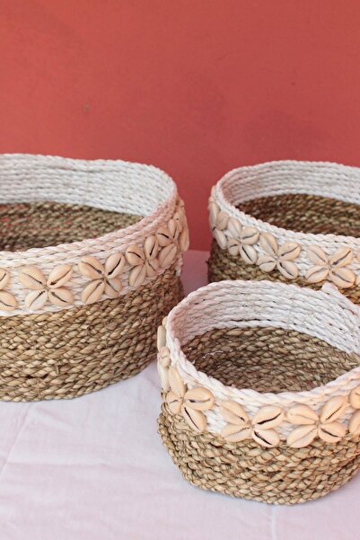 New Obsessions Set of 3 Shell Rattan Baskets
