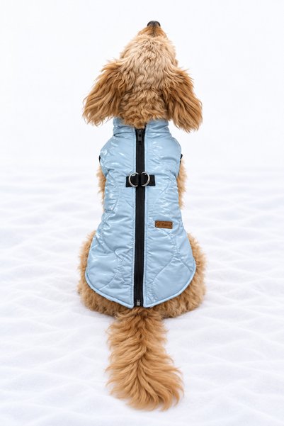 PATİLİNKA Cat - Dog Winter Inflatable Vest - Coat - Raincoat