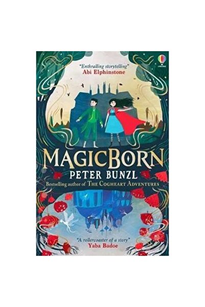 Usborne Publishing Magicborn by Peter Bunzl