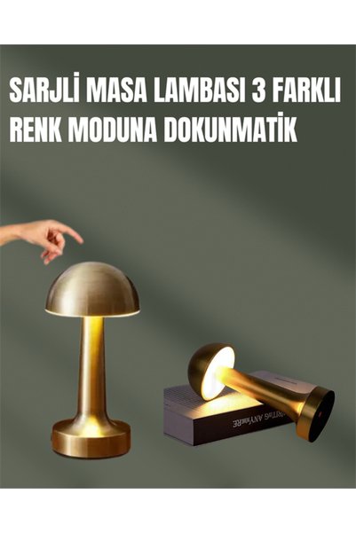 ARNEER %100 Kademeli Ayarlanabilir Işık – Usb Şarjlı Masa Lambası