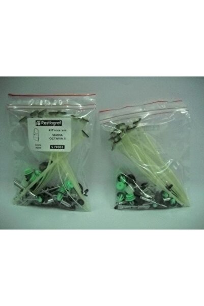 RESTAGRAF Set clipsuri montaj hayon A519102, plastic, pentru Skoda Octavia I