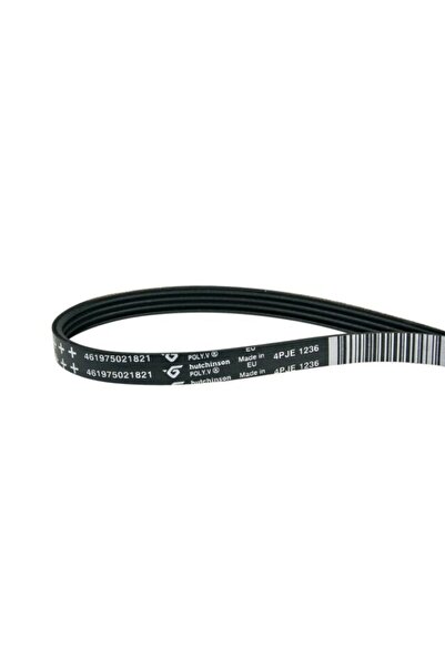 Hutchinson Curea mașină de spălat Poly V 4PJE1236