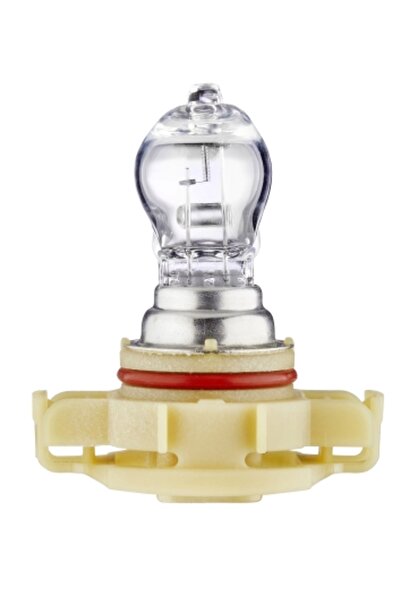 Hella Bec auto pozitie PSX24W 12V 24W STANDARD 8GA 223 569-001