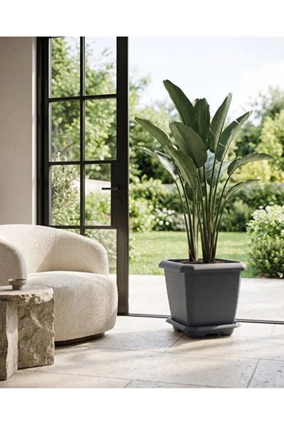 poliva home Hisar Kare Saksı 74,3 Litre Saksı 53,5x53,5 cm Tabaklı Salon Bahç...