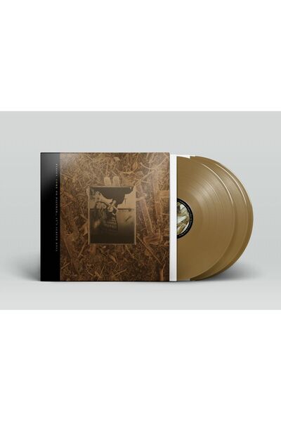 Pixies - Come On Pilgrim... It's Surfer Rosa (Vinyl)