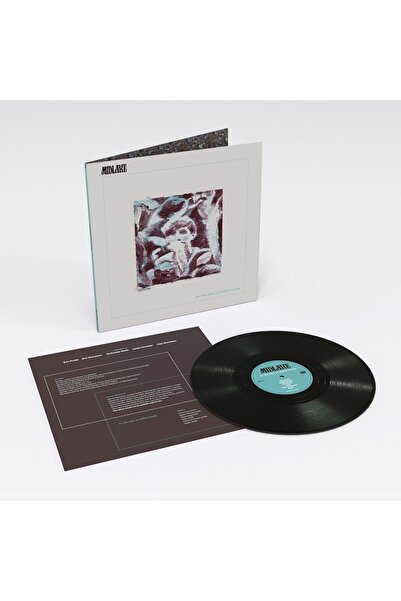 Bella Union Midlake - For The Sake Of Bethel Woods (Vinyl)