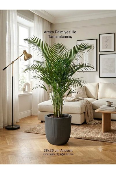 ks kastasaksı Plastik yivli iclikli saksi 38x36 modern dekoratif büyük saksı ...