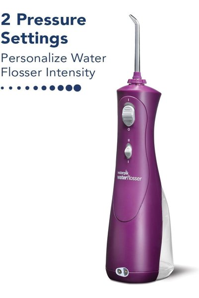 Waterpik WATERFLOSSER CORDLESS PLUS ORCHID WP-465