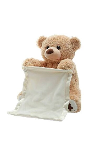 OEM Interactive Peek-a-Boo Plush Bear with Blanket, 25 cm