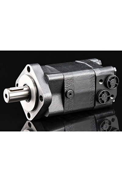 HİDROMOTOR BMS 315