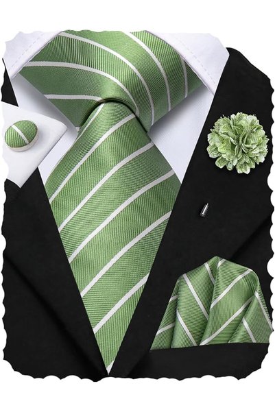 Hi-Tie Mens Tie Set Silk Striped Woven Necktie with Lapel Pin Pocket Square C...
