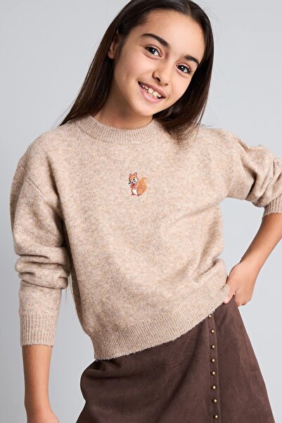 DeFacto Crew Neck Embroidered Fuzzy Sweater for Girls H6857A826Au