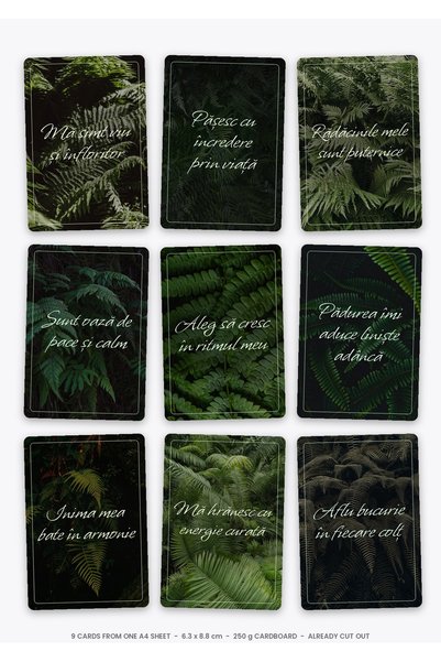 OEM Carduri Afirmatii Set Djungla Verde Luxurianta, 9 Bucati, Carton 250g, 6....