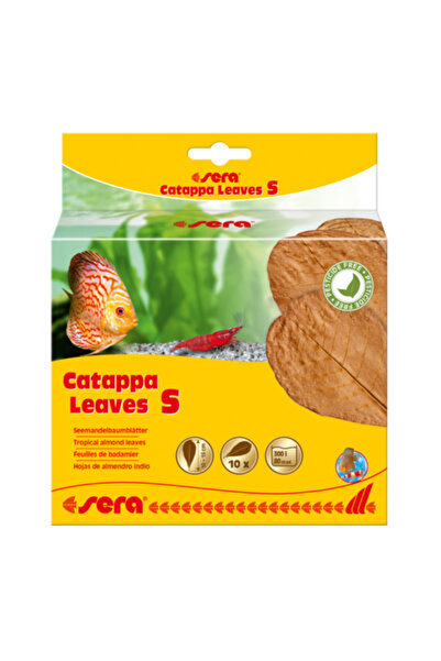 SERA Catappa Leaves (10Pcs)[Size - S]