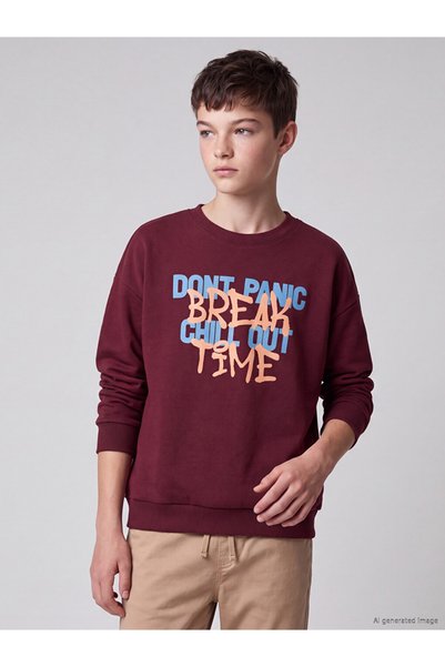 LC Waikiki Timeless Clothing & Timeless Choices Printed Boys' Thick Sweatshirt