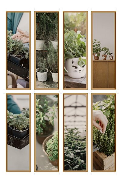 OEM Semne de Carte Set de 8 cu Tema Gradina de Ierburi Aromatice, Carton Prem...