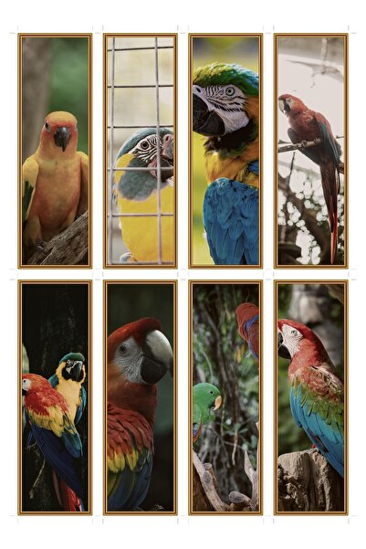 OEM Set of 8 bookmarks with colorful parrot theme, cheerful design, durable c...