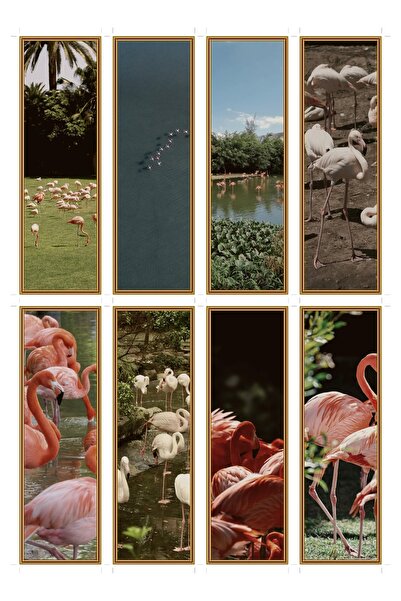 OEM Semne de Carte Set de 8 cu tematica card de flamingo, accesorii citit ele...