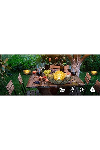 NO BRAND Lampă LED solară, decorațiune solară LED, decorativă pentru ornament...