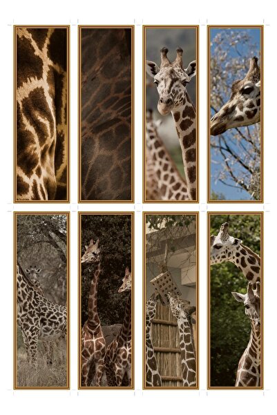 OEM Semne de Carte Set de 8 cu Model Pete de Girafa, Design Unic, Carton Premium