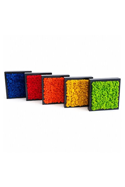 Ellis Garden Set 5 tablouri cu licheni stabilizați 23x23 cm