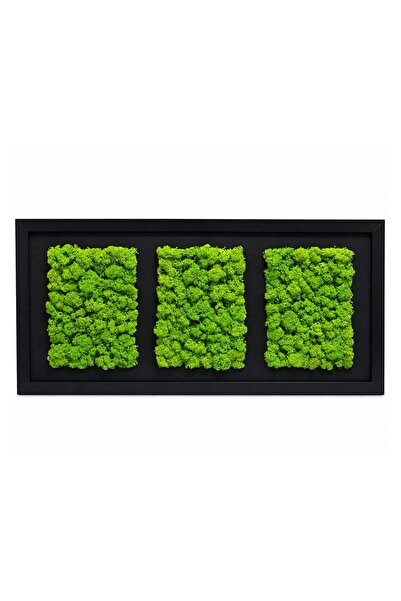 Ellis Garden Artă de perete cu licheni stabilizați, verde deschis, 50 x 23 cm