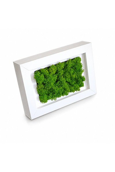 Ellis Garden Ramă decorativă cu licheni stabilizați 10x15 cm