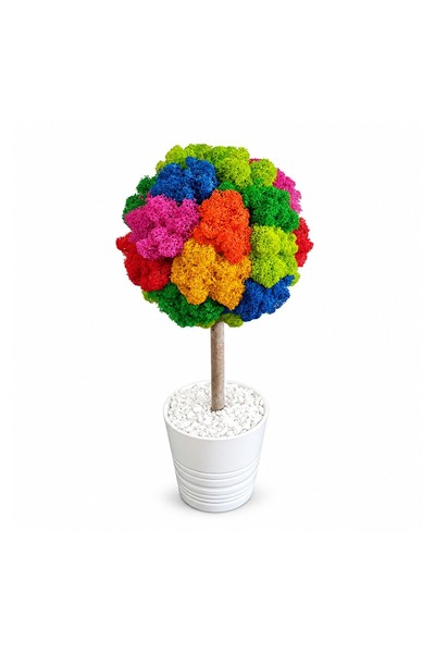 Ellis Garden Arbore decorativ cu licență stabilizată, H38-40 cm