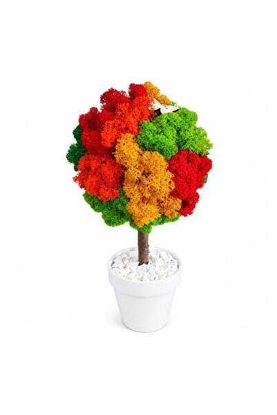 Ellis Garden Arbore decorativ cu licență stabilizată, H23-25 cm