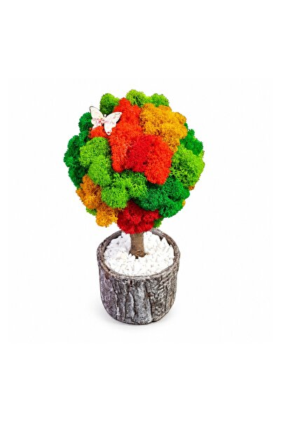 Ellis Garden Copac decorativ cu licență stabilizată, H24-26 cm