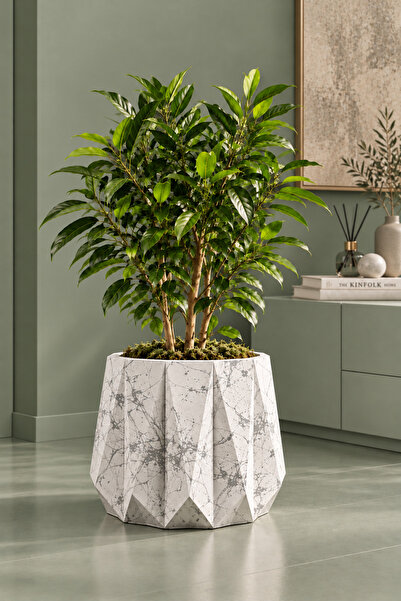 betonmall Ghiveci decorativ din beton, 25 cm, ghiveci mare pentru flori, lucr...