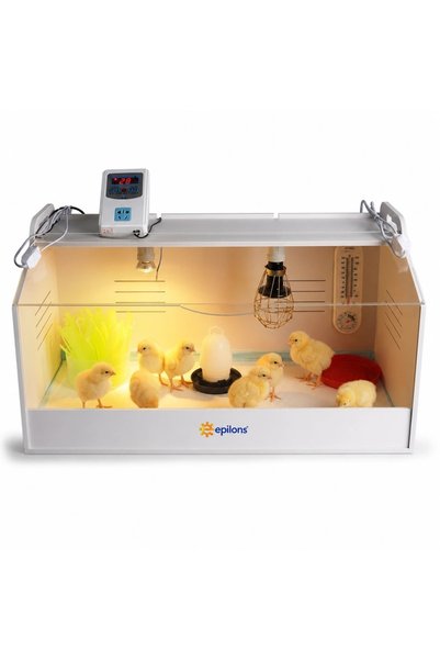 Civciv Büyütme Küvezi Dijital Termostatlı Ana Kucağı Ve Brooder Kafesi Bx-316464