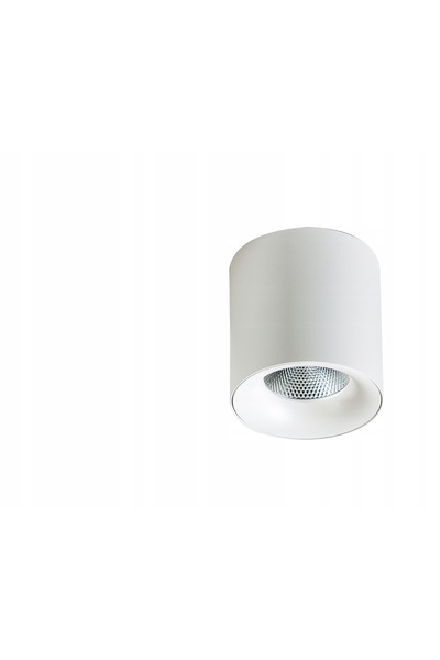 AZzardo Spot LED aplicat pe suprafață 20W MANE AZ4152