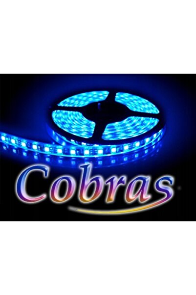 Bowi Bandă LED COBRAS 3528 albastră 5m/300 diode