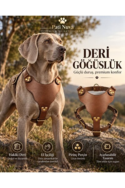 Premium Hakiki Deri Köpek Göğüs Tasması Taba L-XL