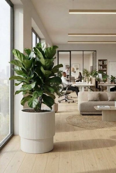 TEMMUZ HOME Vega İç Hazneli 27 Lt Geniş Hacimli Çift Katmanlı Saksı - 16L Pra...