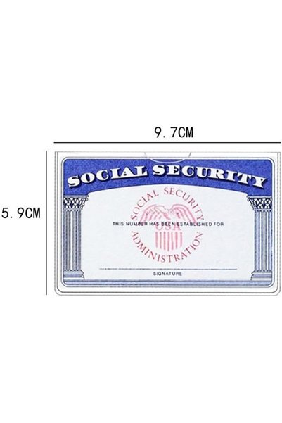 GENERAL 10 Pack Social Security Card Holder/ Holder,Social Security Protector Sleeves,